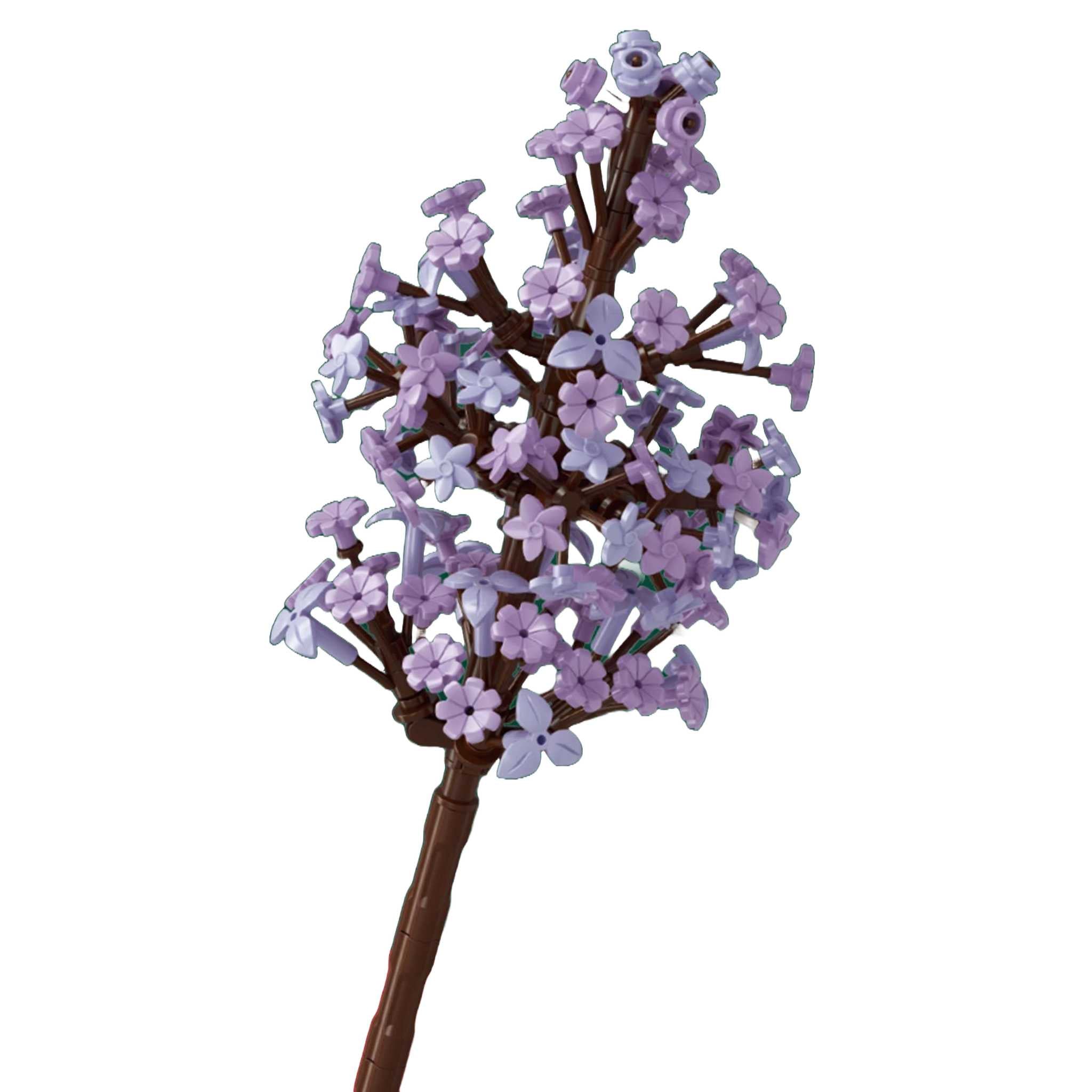 601284 - Flieder (Sembo)