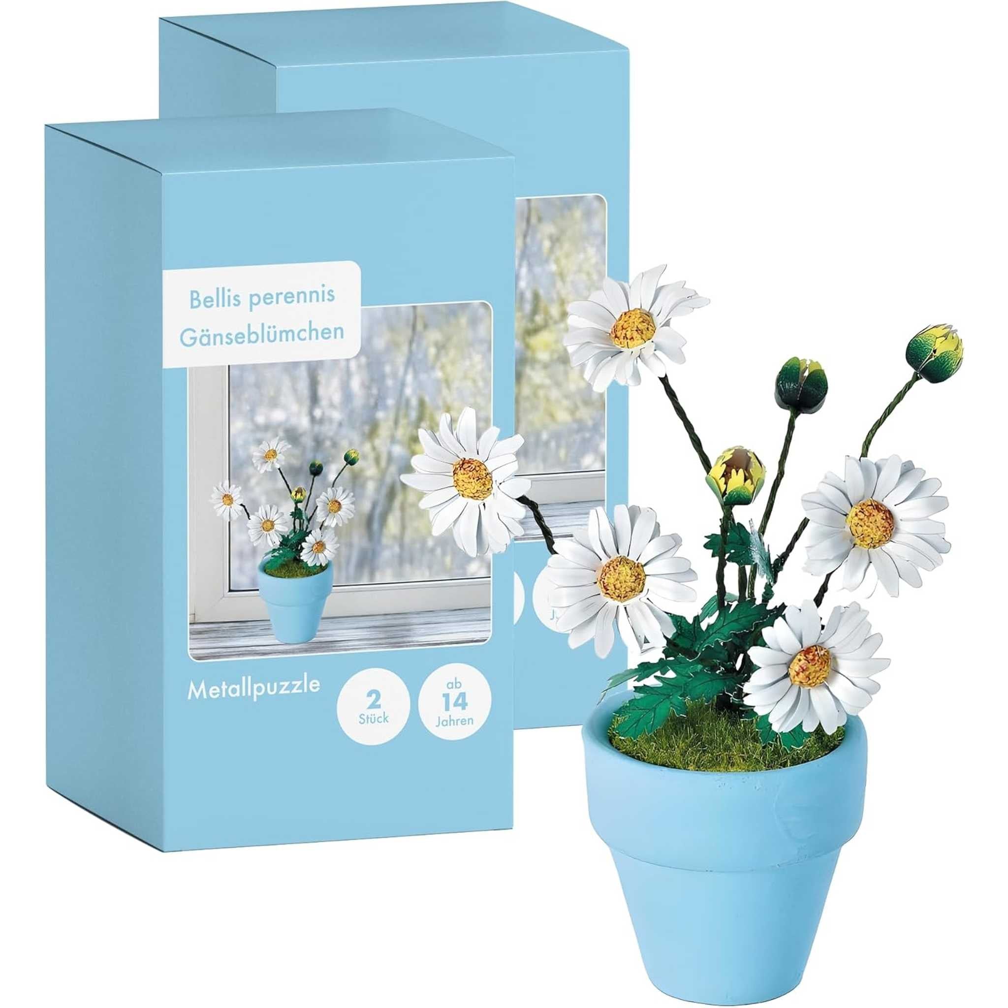 K20805 - Gänseblümchen (Iron Star)