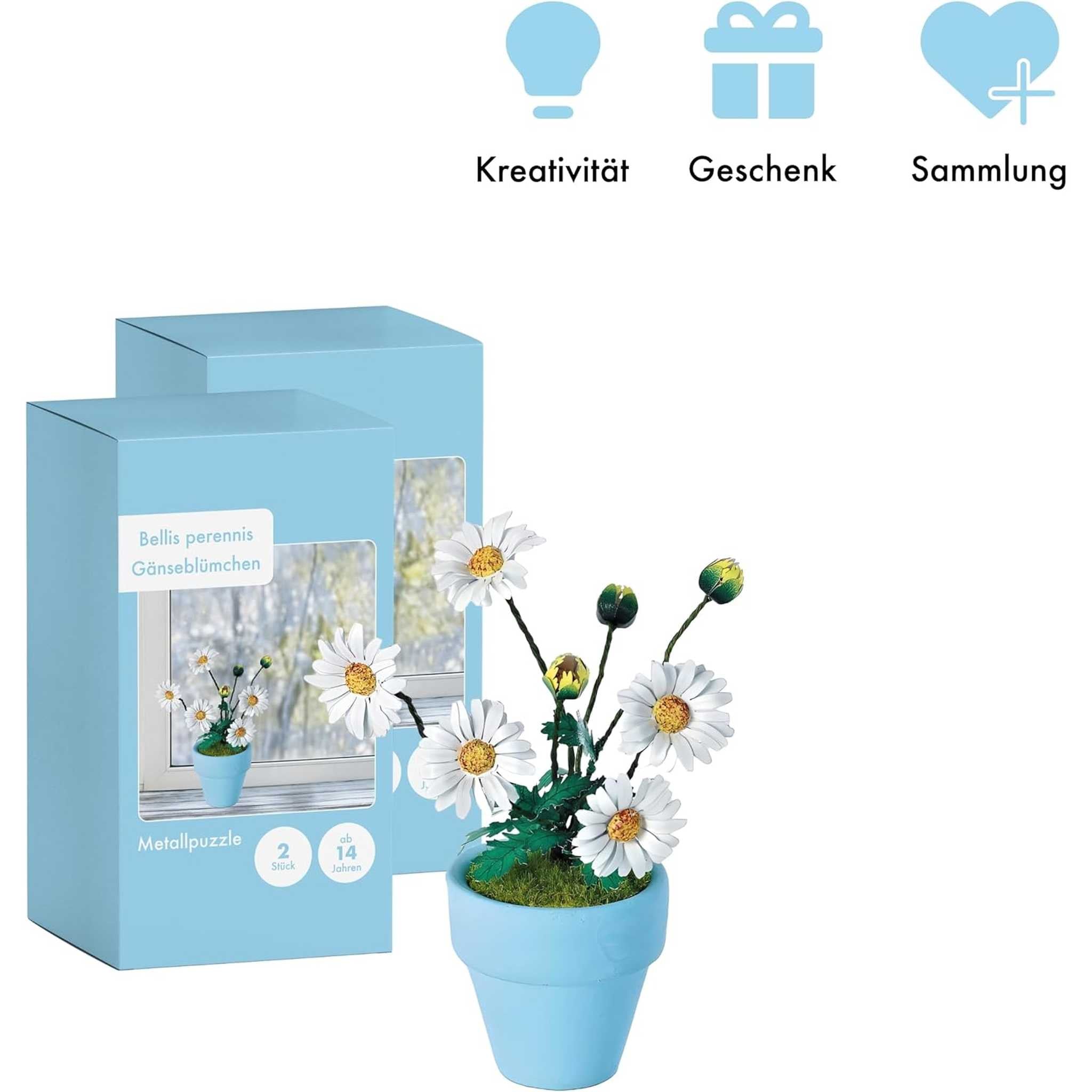 K20805 - Gänseblümchen (Iron Star)