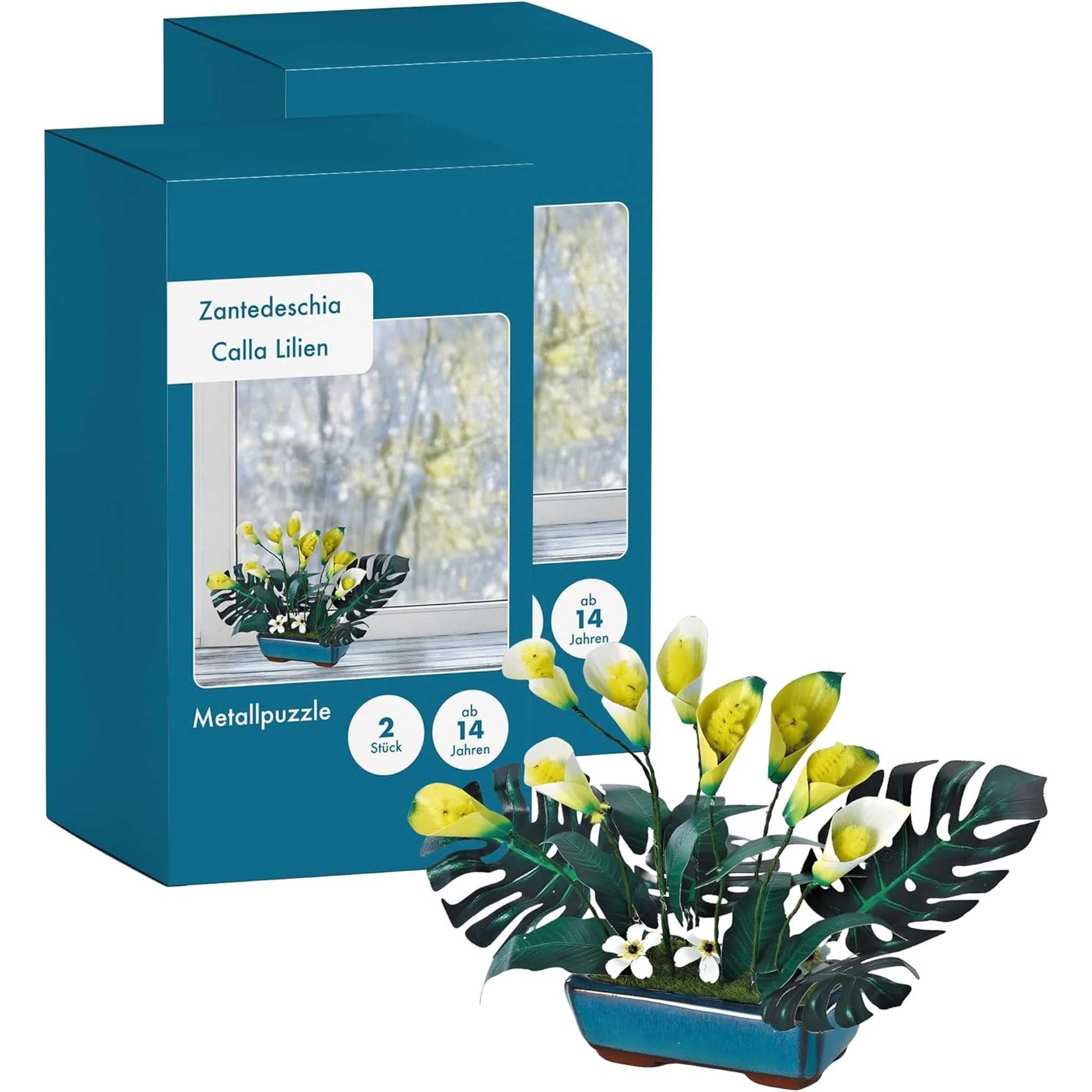 K31111 - Calla Lilie (Iron Star)