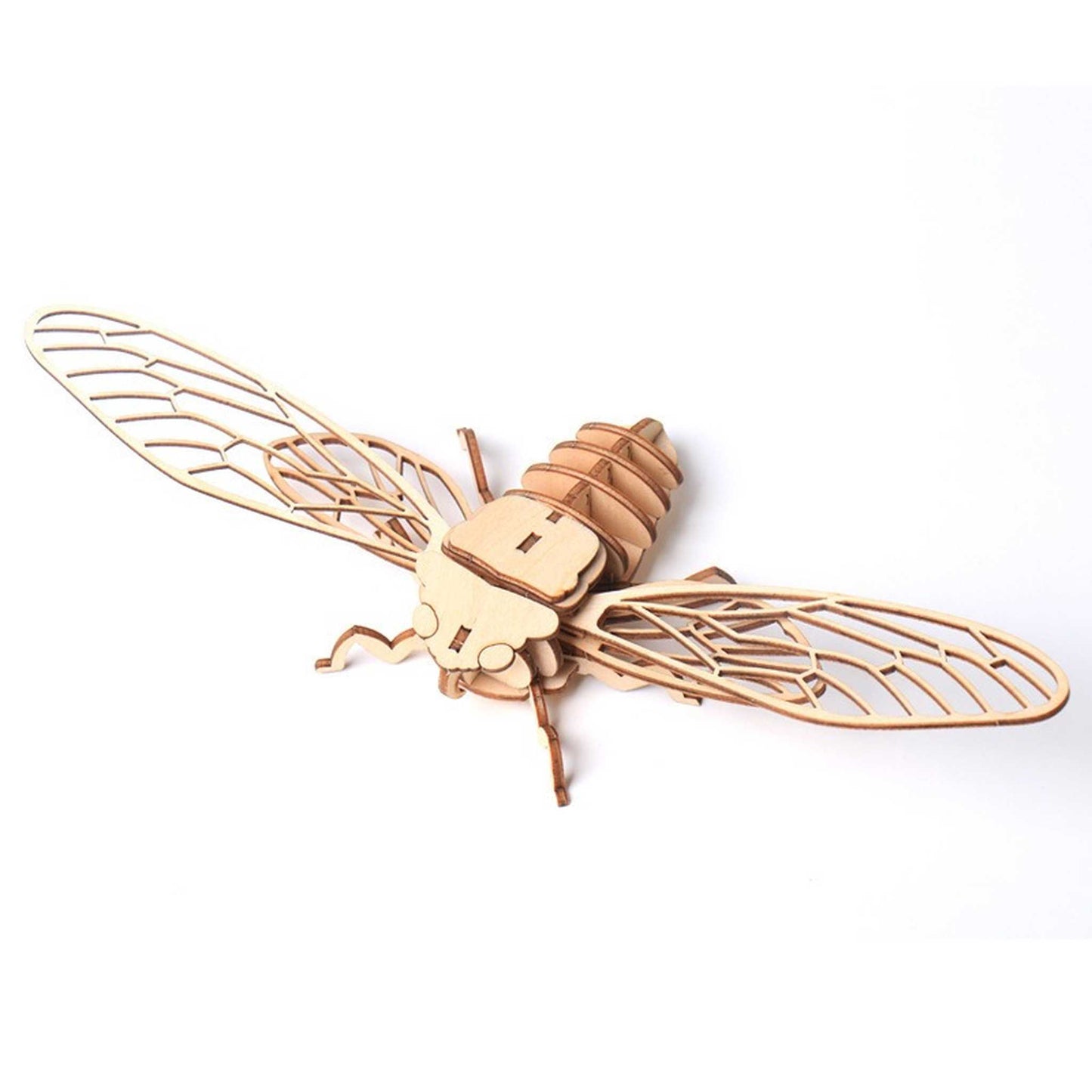 3D Holzpuzzle Zikade