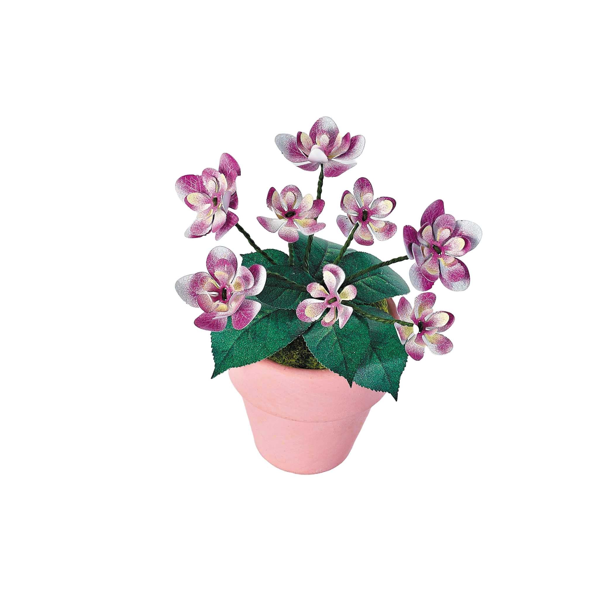 K20801 - Hortensien (Iron Star)