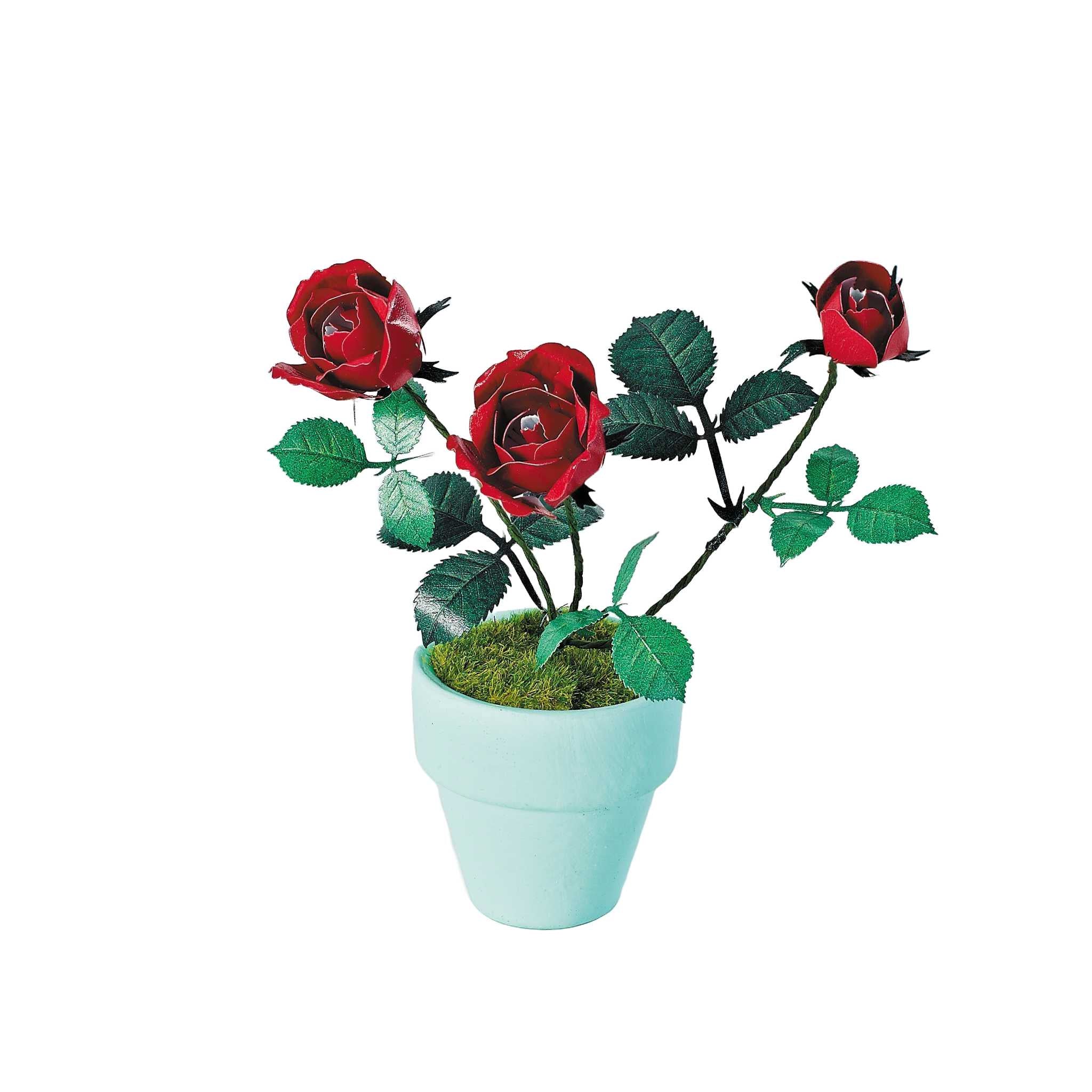 K20803 - Rote Rosen (Iron Star)