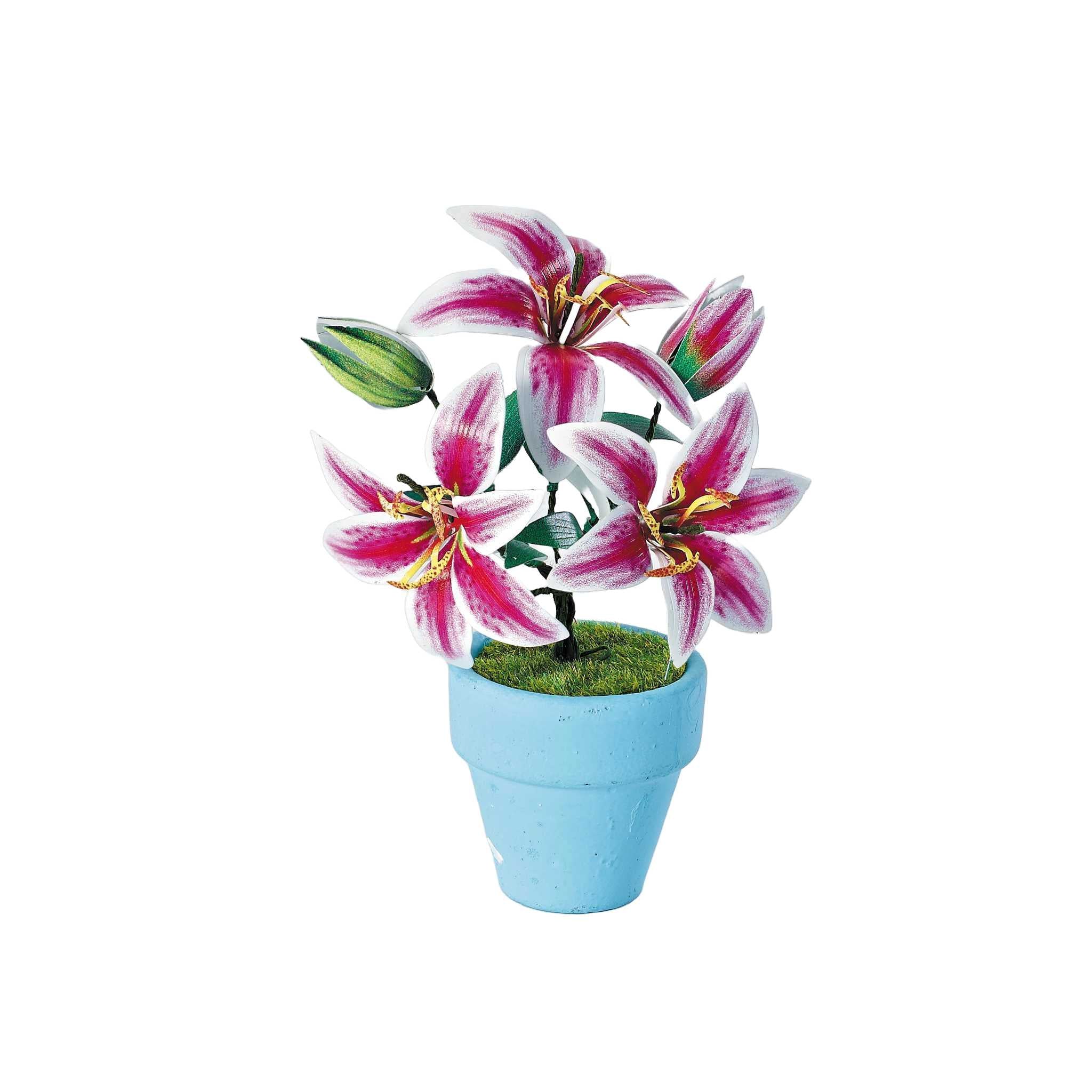 K20806 - Lilien (Iron Star)