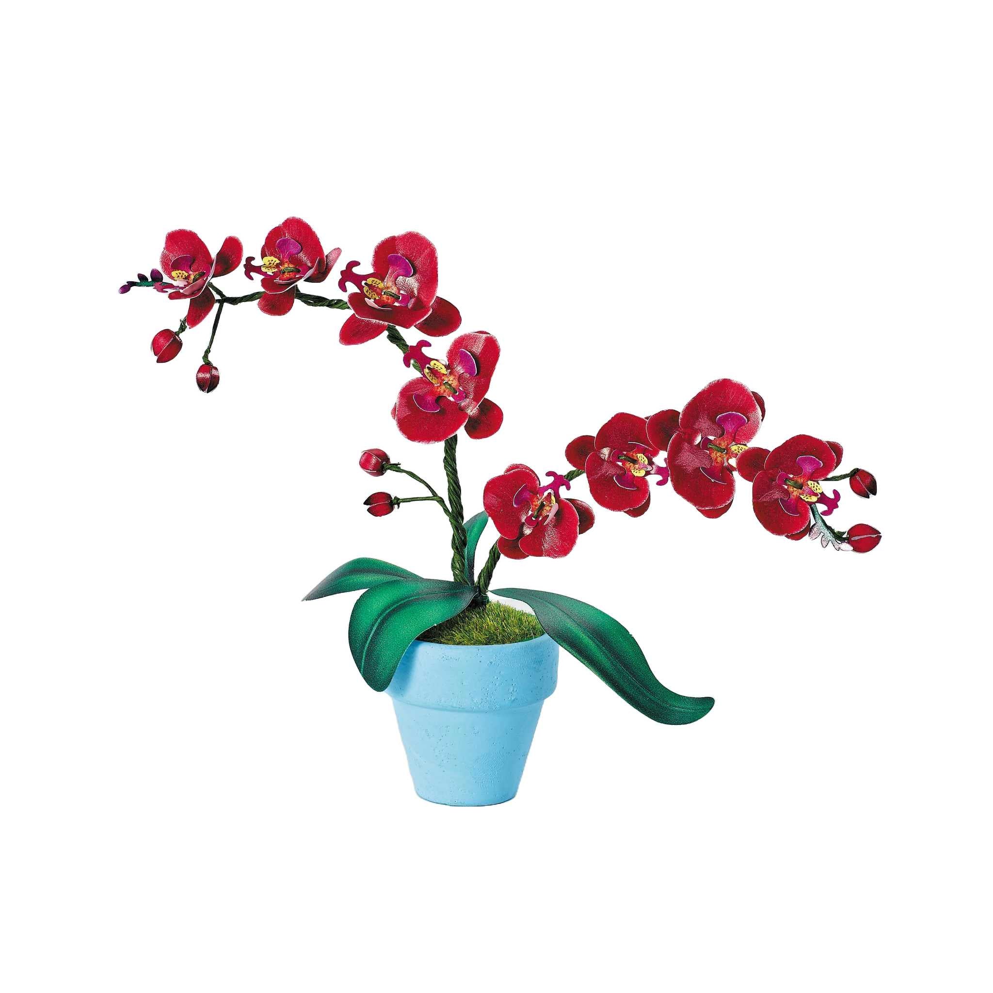 K20807 - Orchideen (Iron Star)