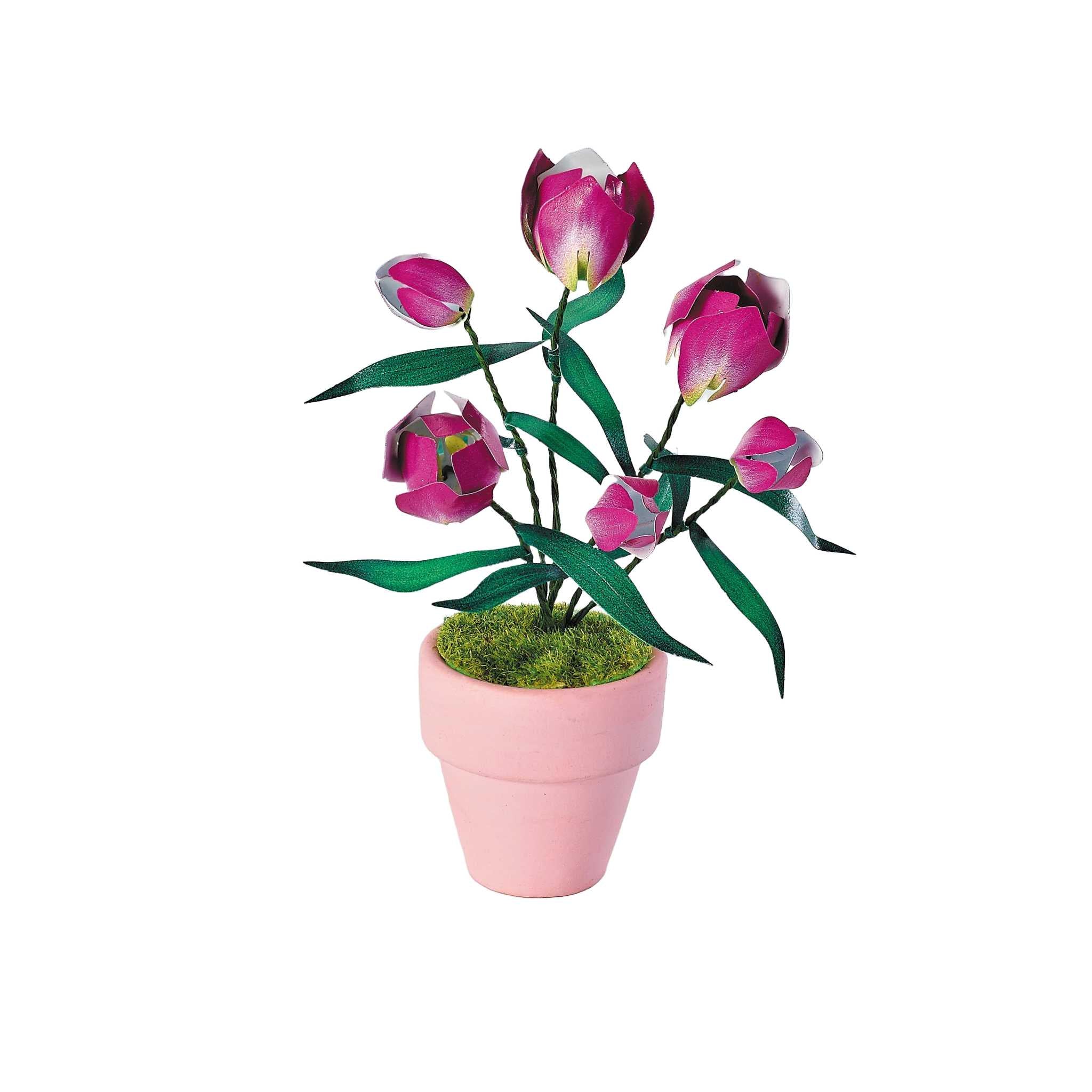 K20808 - Lila Tulpen (Iron Star)