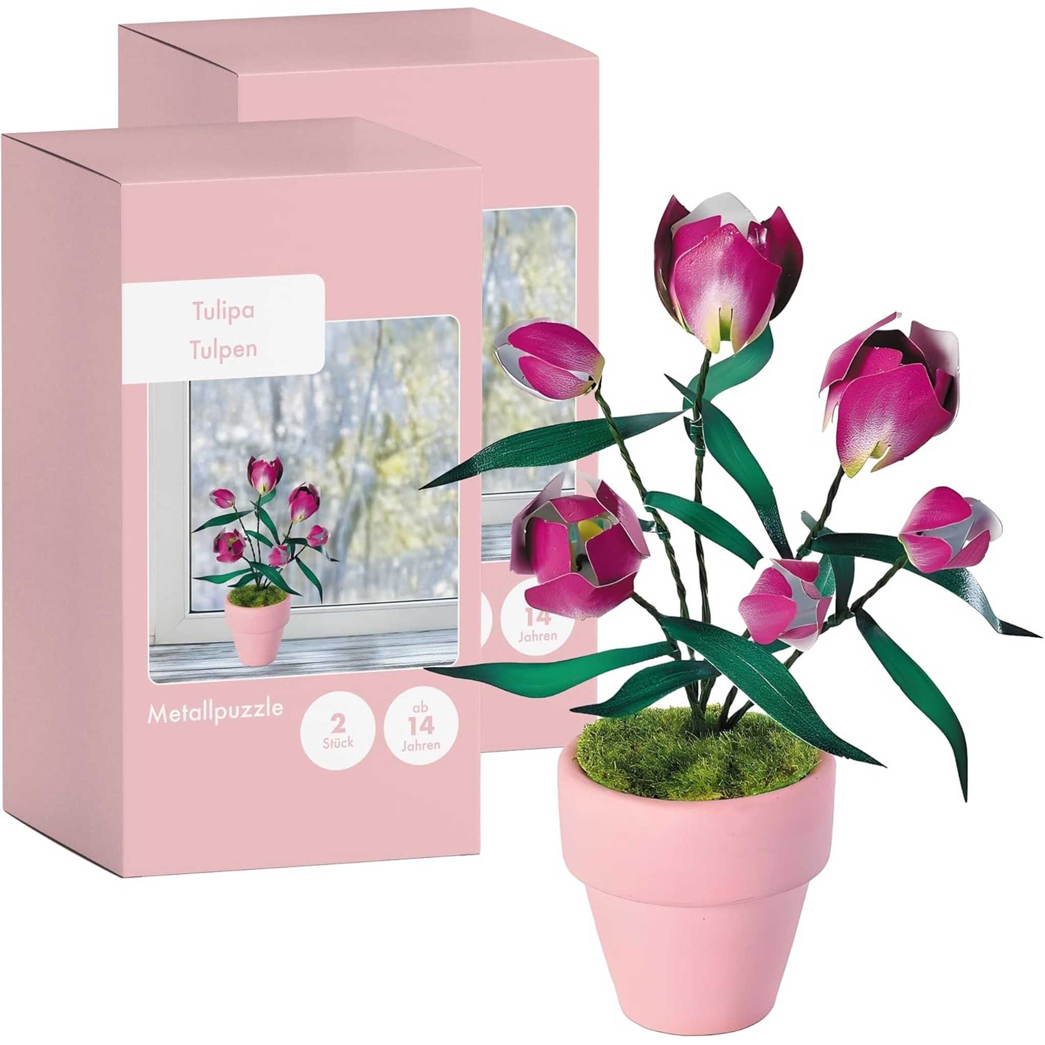 K20808 - Lila Tulpen (Iron Star)