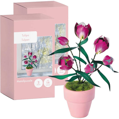 K20808 - Lila Tulpen (Iron Star)