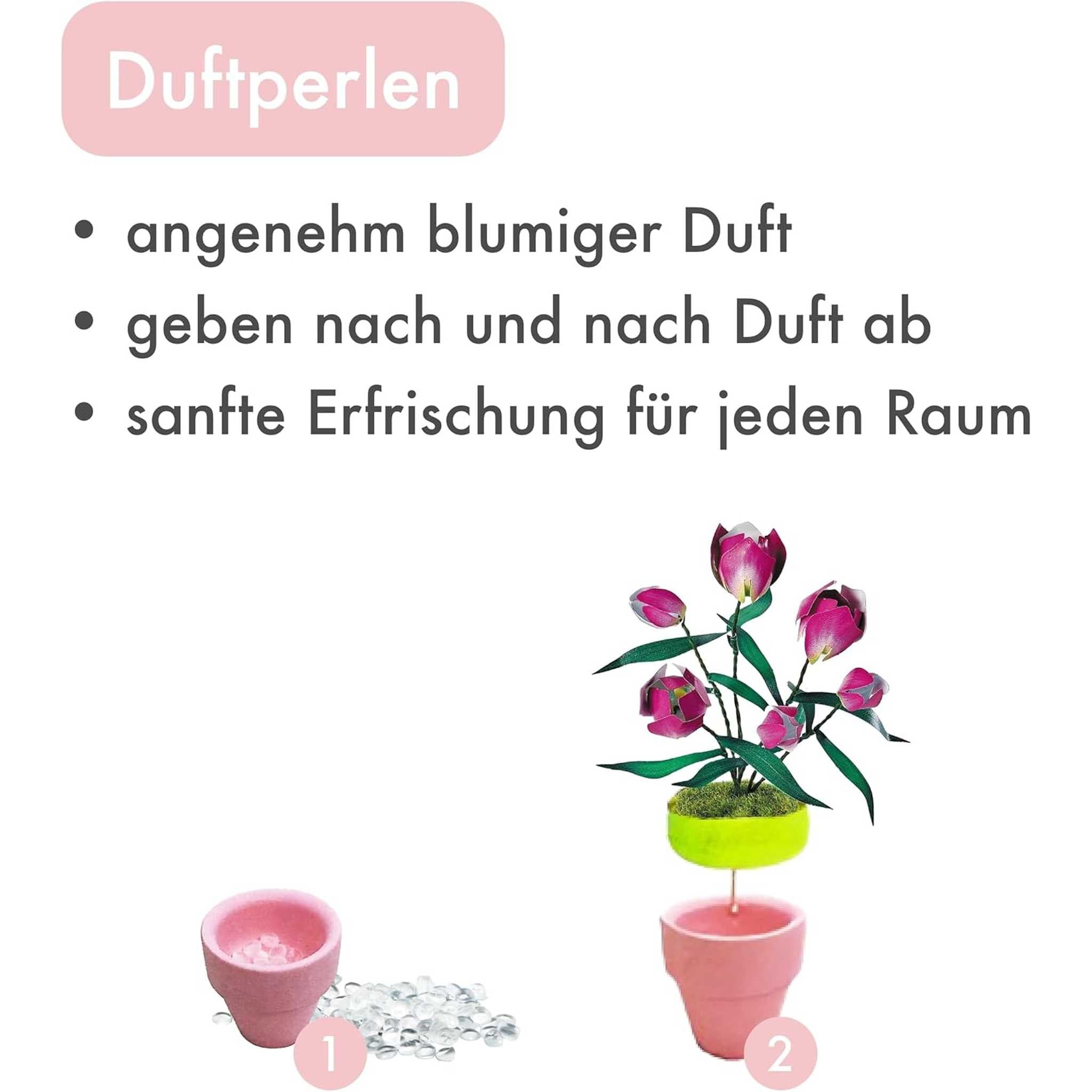 K20808 - Lila Tulpen (Iron Star)