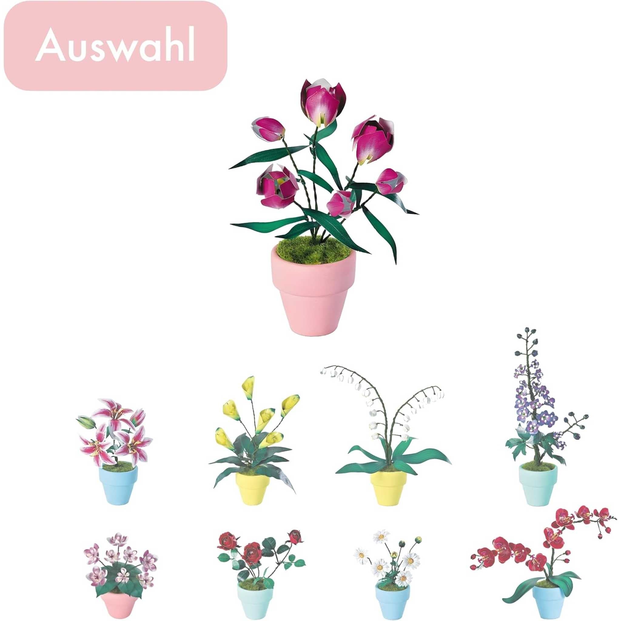 K20808 - Lila Tulpen (Iron Star)