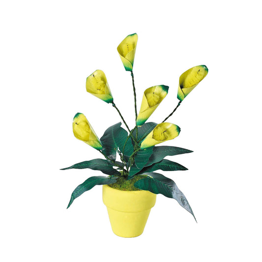 K20809 - Calla Lilien (Iron Star)