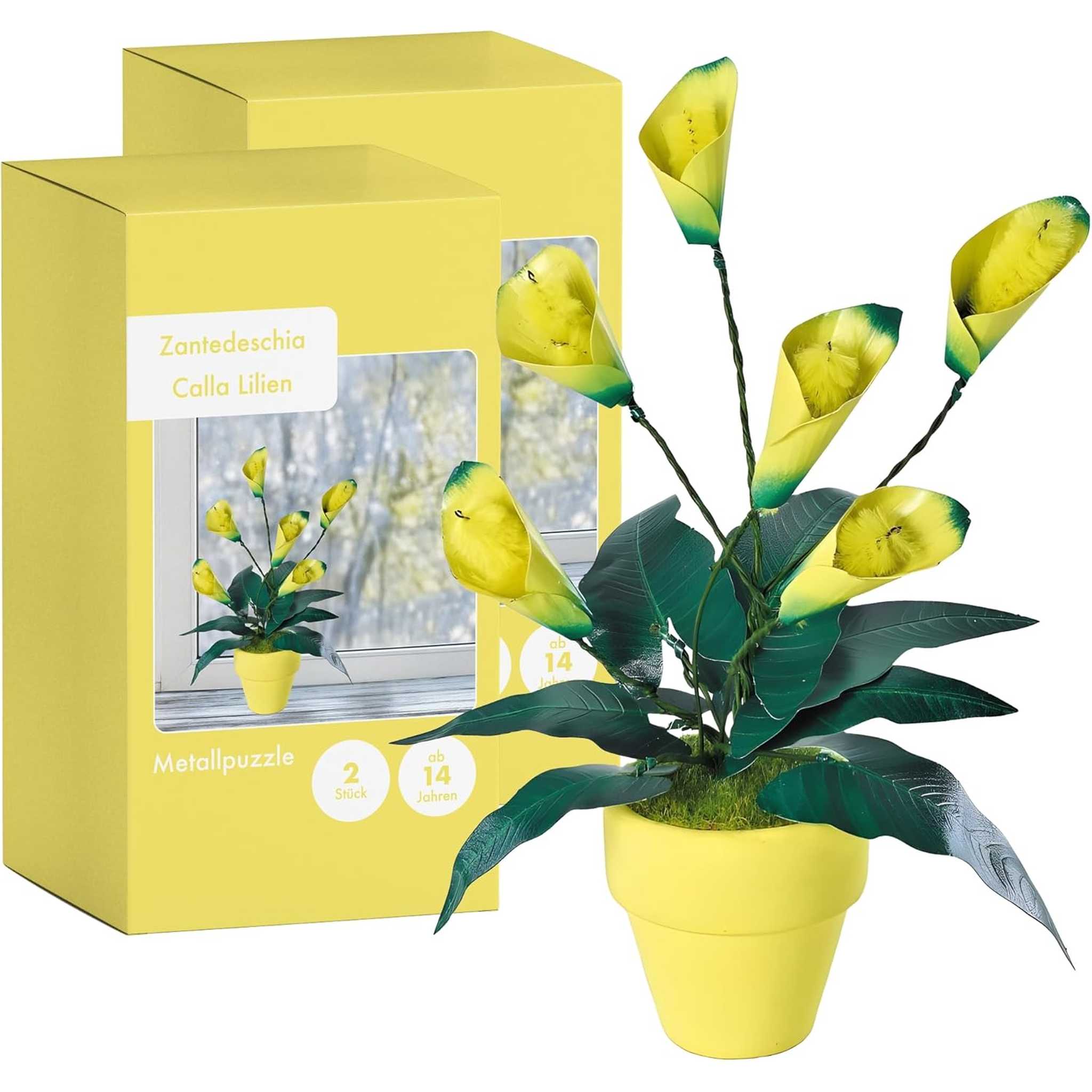 K20809 - Calla Lilien (Iron Star)