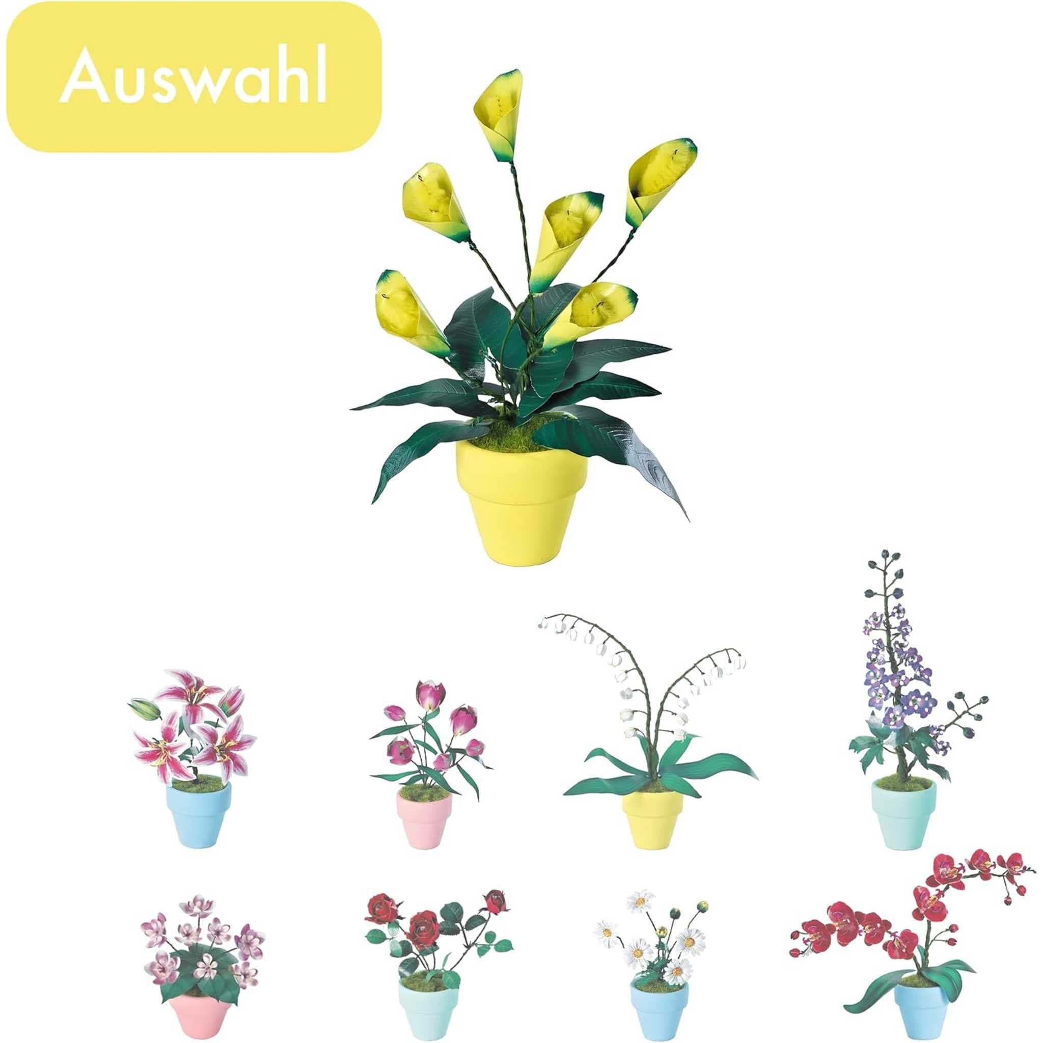 K20809 - Calla Lilien (Iron Star)